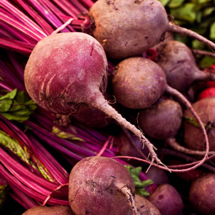  Beet Root